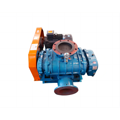 Roots Vacuum Pump හි වැඩ කිරීමේ මූලධර්මය