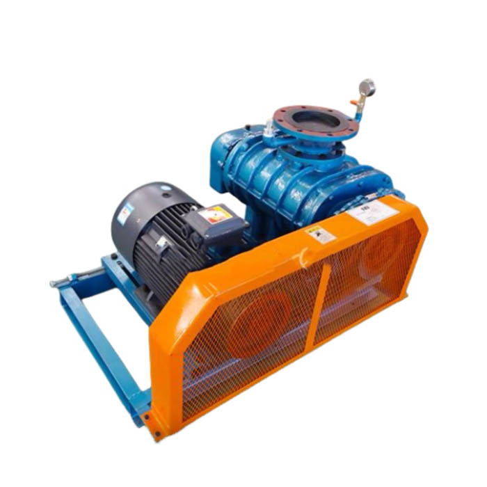 ආහාර පැකේජය සඳහා 3 Lobes Blower Vacuum Pump